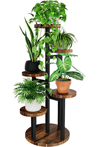 Dotail Bamworld Βάση Φυτών, 5 επιπέδων, 30 x 18 x 80 εκ., κατασκευή από μέταλ...