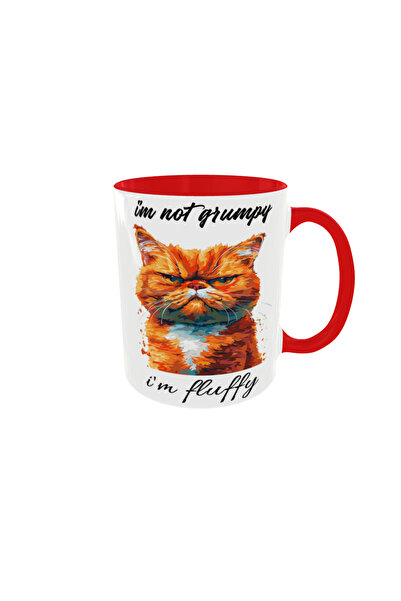 OEM Personalized grumpy cat mug, 350ml – the ideal gift for any occasion
