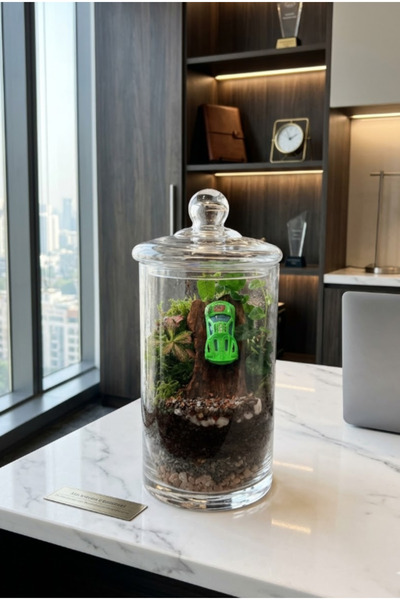 Generic حوض تيراريوم صغير لسباقات الغابة