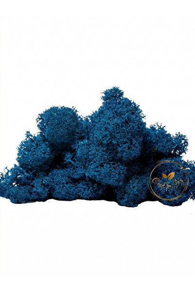 Craft for Joy Pre-cleaned lichens Royal blue