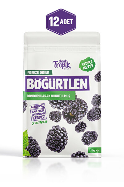 Dost Tropik Belek Dondurularak Kurutulmuş Böğürtlen 18 g | Freeze Dried Meyve...