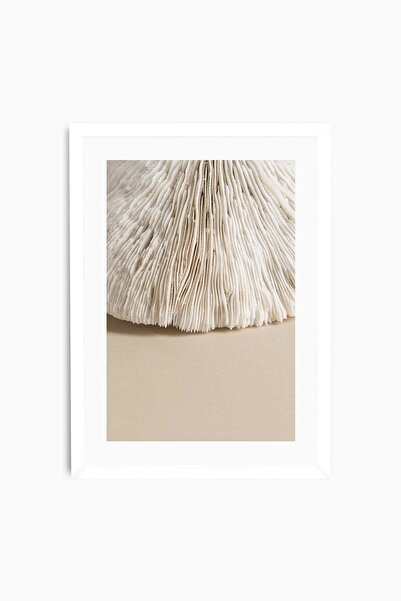 Raven Art Studio Natural Coral Table + Frame