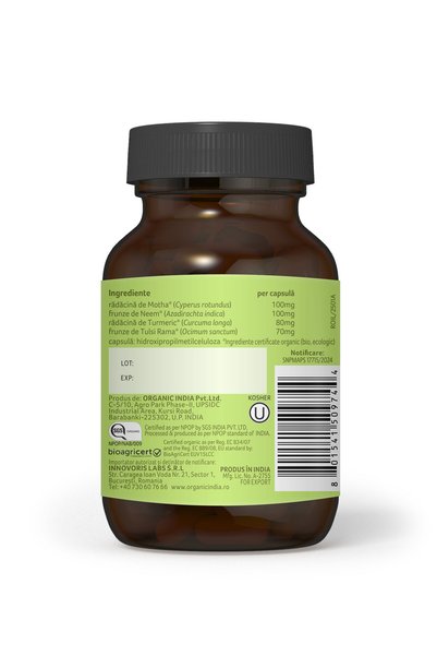 Organic India Care, Sanatatea prostatei, 60 capsule vegetale