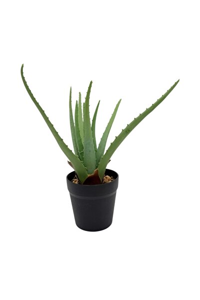 AFO Τεχνητή Αλόη Βέρα σε Πράσινη Κωνική Πλαστική Γλάστρα 32εκ.