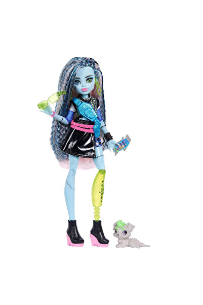 MONSTER HIGH Acayip Havalı Arkadaşlar Frankie Stein HPD53-JHK31
