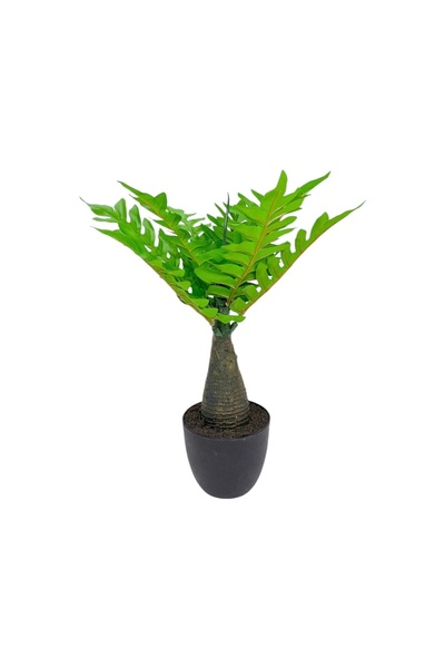 AFO Πλαστική Γλάστρα Κωνική Τεχνητό Φυτό Ζαμιακά 37,5εκ.