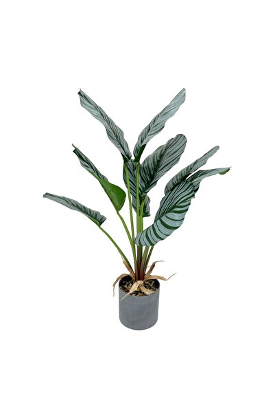 AFO Τεχνητό Φυτό Καλάθεα Ορνάτα 60 εκ.