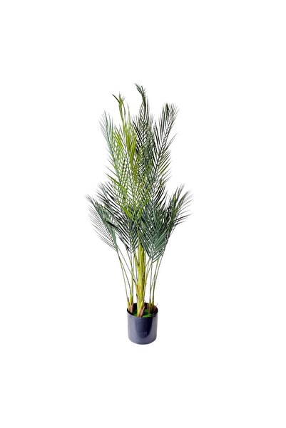 AFO Κορυφαίας ποιότητας Τεχνητό Φυτό Φοίνικας με 5 Κλαδιά 150 εκ.