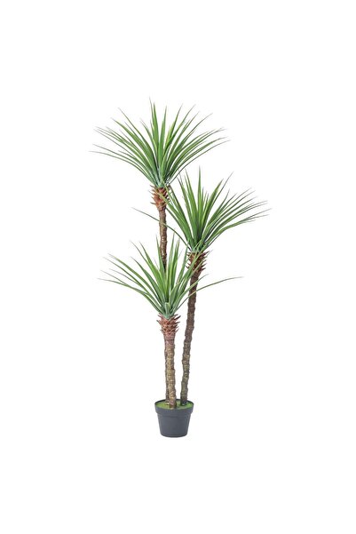 AFO Κορυφαίας ποιότητας τεχνητό φυτό Ντρακένα με 3 κοτσάνια 150 εκ.