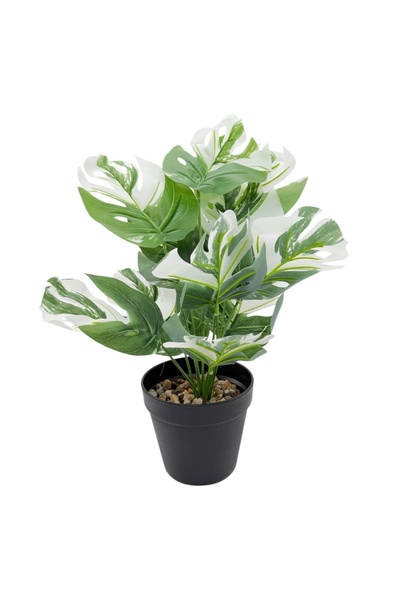 AFO Τεχνητή Δρακένα σε Πλαστική Κωνική Γλάστρα, Πράσινο με Λευκό, 40εκ.