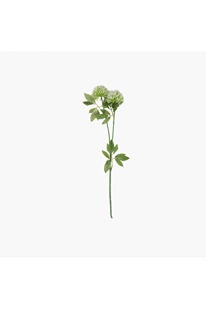 JASMIN CONCEPTS Karahindiba Dal Beyaz 65cm