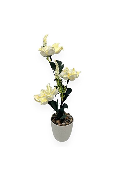 AFO 3-Wire Magnolia Foam Planter - Cream