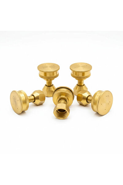 CLEANSE PROFESSIONAL 5 PIECES COPPER NOZZLE, 4 HOLES, FOR ELECTRIC OR MANUAL ...