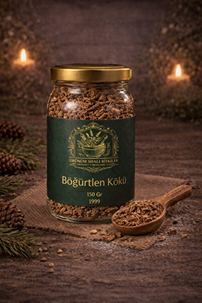 ÜRÜNÜM AKTAR ÜŞK006 BÖĞÜRTLEN KÖKÜ