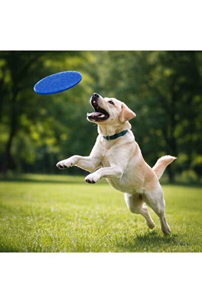 ZanaCasei Jucărie pentru câini tip frisbee, albastră, 20cm