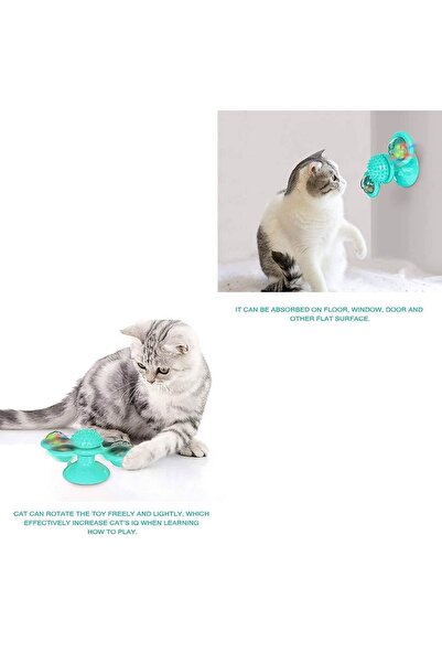 ZanaCasei Turquoise Double Spinner Cat Toy with Light