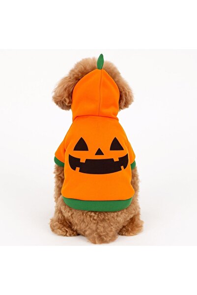 ZanaCasei Orange Halloween Pumpkin Pattern Hoodie & Hood for Dogs
