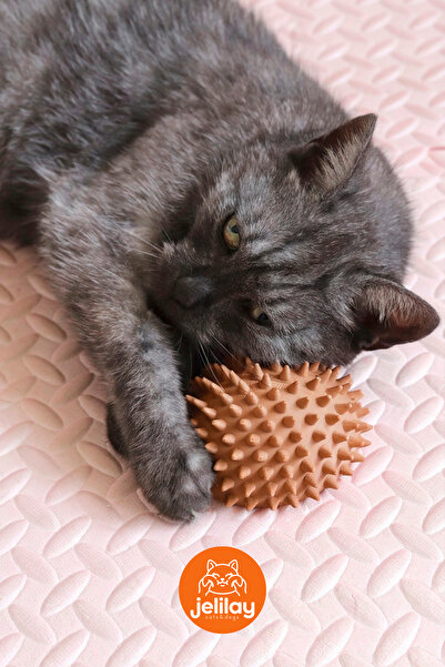 Jelilay Cute Hedgehog Cat Scratching Toy That Can Be Sticked to the Wall - Se...