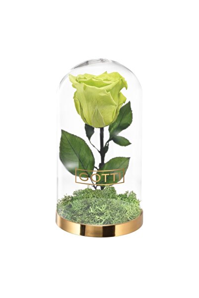 GOTTI Trandafir Criogenat Verde – Cupolă de Sticlă Premium