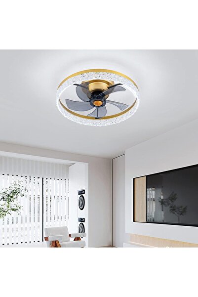 Exlafi Modern ceiling light with fan, for bedroom, living room, reversible an...