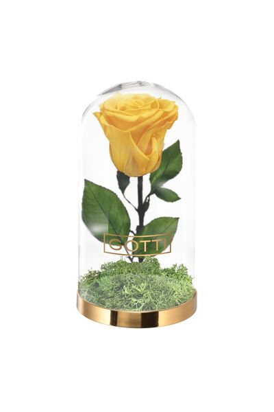 GOTTI Trandafir Criogenat Galben – Cupolă de Sticlă Premium