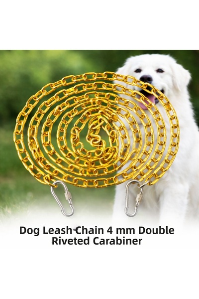 Vi Caro 1 Meter Sari Dog Tie Chain 4 mm Leash with 2 Screw Carabiners Steel D...