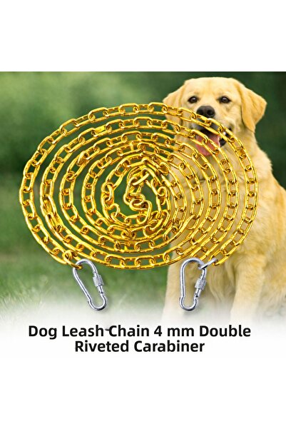 Vi Caro 9 Meters Sari Dog Tie Chain 4 mm Leash with 2 Screw Carabiners Steel ...