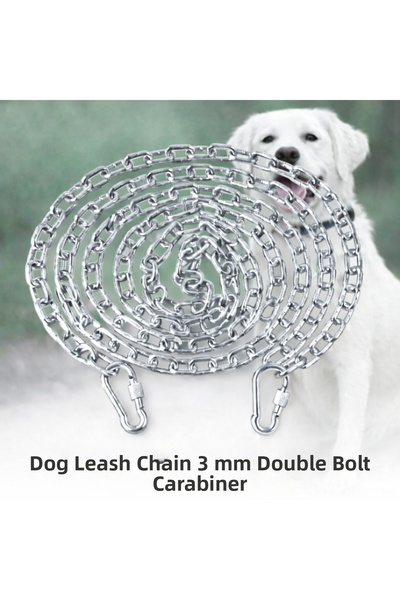 Vi Caro 7 Meters Dog Tie Chain 3 mm Walking Chain + 2 Screwed Carabiners Stee...