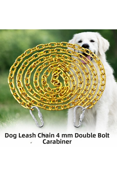 Vi Caro 5 Meter Dog Tie-Out Chain 4 mm Walking Chain + 2 Screwed Carabiners S...