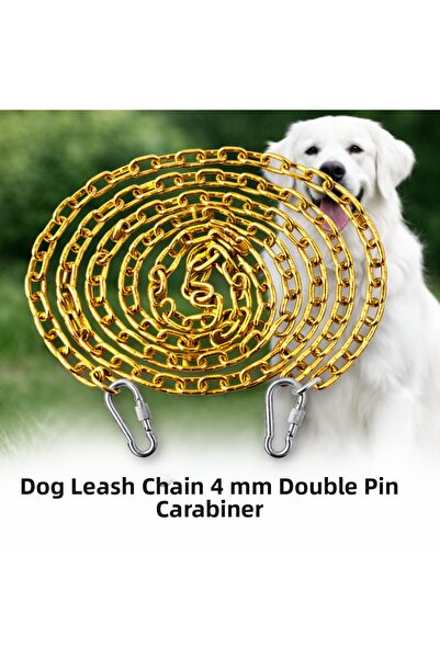 Vi Caro 4 Metre Sari Dog Tie Chain 4 mm Walking Chain 2 Screw Carabiner Steel...