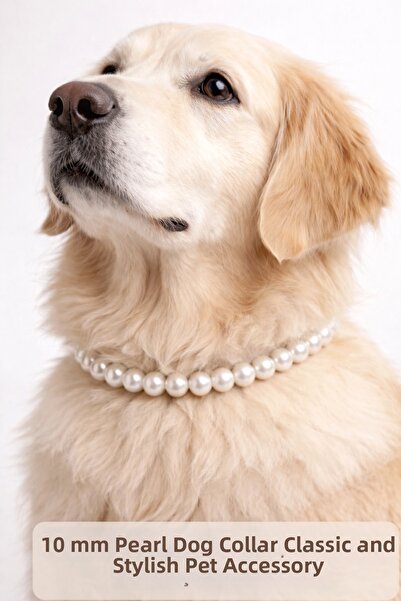 TRD'tek Dog Necklace White