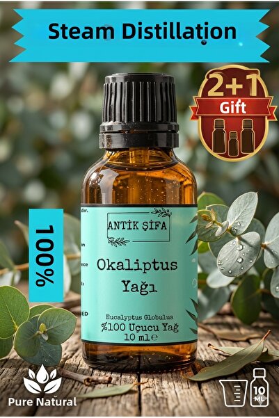Antik Şifa زيت الأوكالبتوس العطري النقي 100% - 10 مل (غير مخفف)