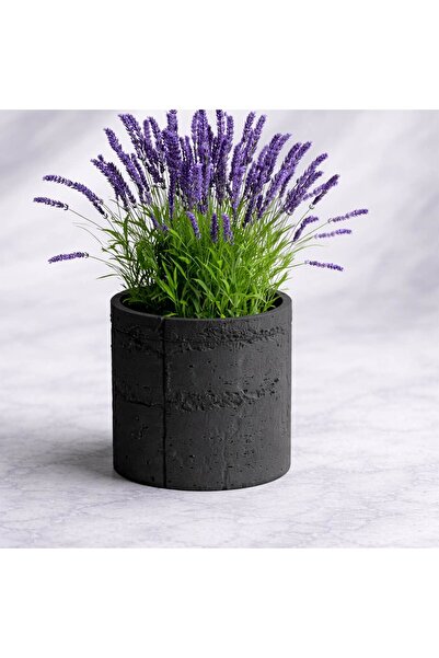 Homentum Ghiveci decorativ Alera – textură beton, design modern - 10 cm