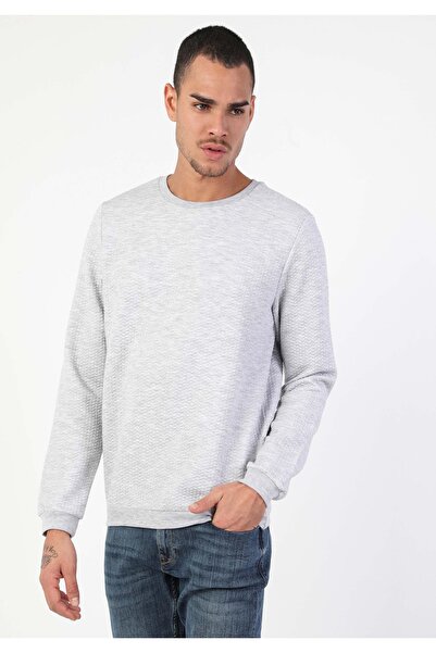 Colin's Світшот Regular Fit Erkek Сірий