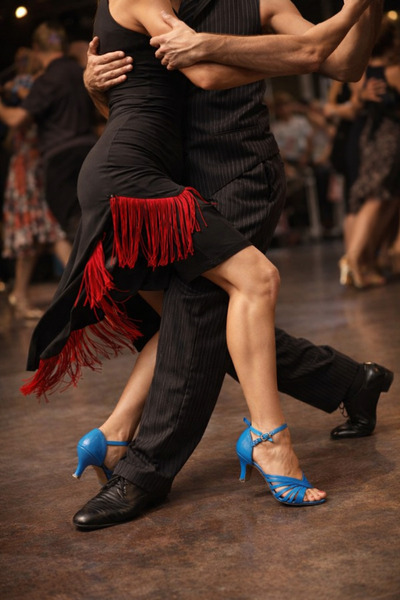 bitangosu MAVİ 7 BANTLI LATİN, SALSA, BACATA, TANGO, DANS VE SALON AYAKKABI 7...