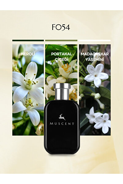MUSCENT F054 CLStory 50 ml.