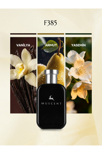 MUSCENT F385 Paradoks Int 50 ml.