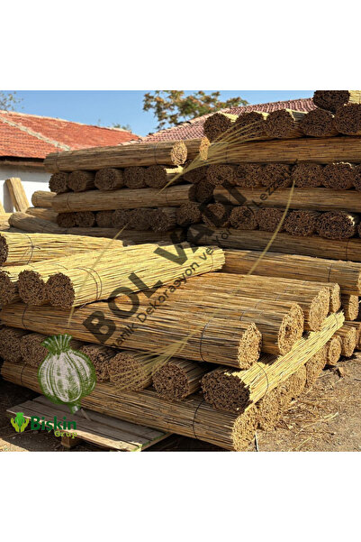 BİŞKİN Kamış Hasır Çit 2 m x 6 m Bahçe Balkon Gizleme Çiti