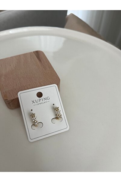 XUPING JEWELRY Xuping 14K Zirkon Taşlı Çelik Küpe