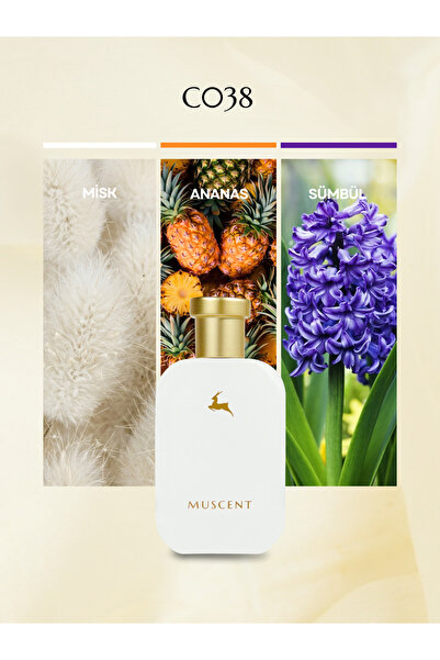 MUSCENT C038 Aksento 50 ml.