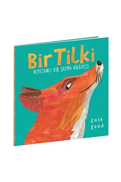 Beta Kids قصة عدّاد الفوكس المثير كات ريد
