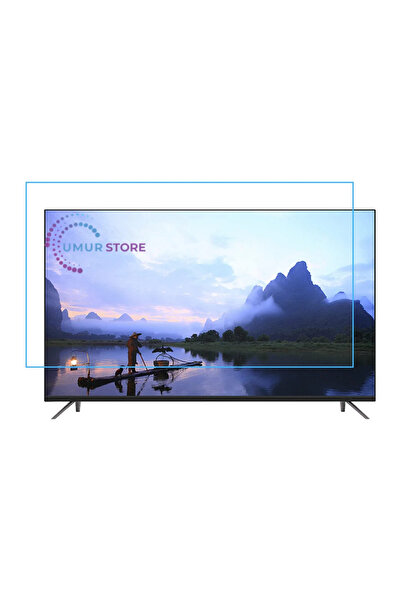27 inç 68 Ekran TV Ekran Koruyucu TVSFNW27