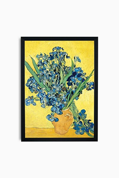 Raven Art Studio Vincent Van Gogh - Irisuri, 1890 Pictură + Ramă