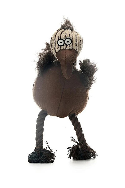 Petza لعبة الكلب القطيفة لازار