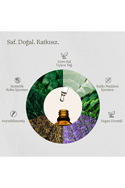 Pure Sauna Saf Sedir Uçucu Yağı 30 ml - Cedrus Atlantica -Buhurdanlık ve Difüzör Kokusu