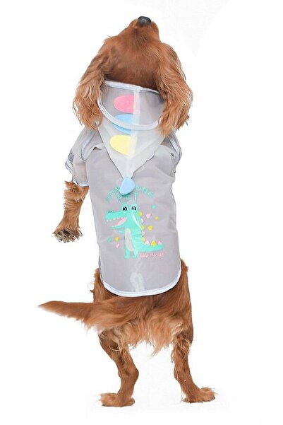 Petza الكلب الصغير والمتوسط ​​السلالات معطف واق من المطر التمساح