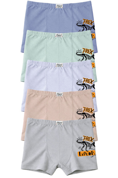 Onurel Αγόρια 5 Συσκευασία Μικτά Χρώματα T-rex Printed Lycra Boxers