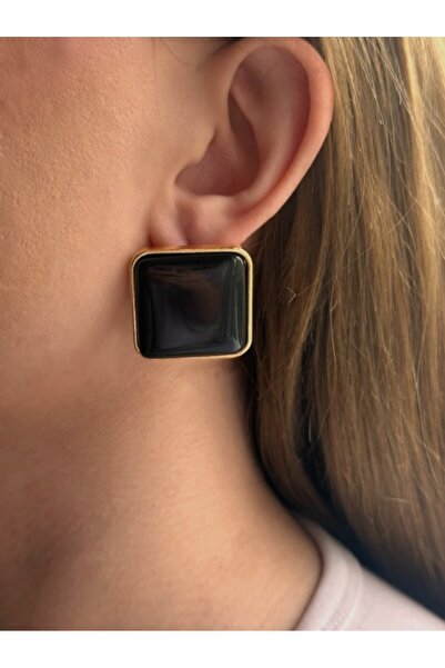 Charmist Steel Black Royal Earrings