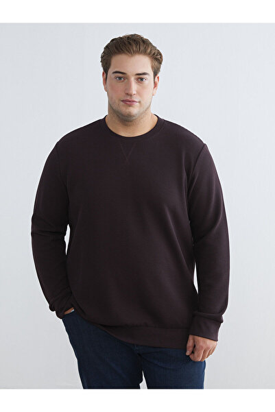 LC Waikiki Özmarka New Season Crew Neck Men's Sweatshirt