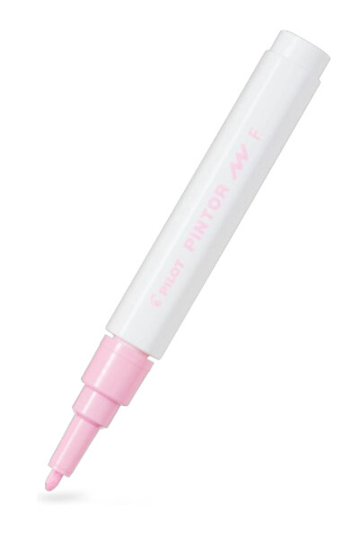 Pilot Pi̇ntor (F) Round Tip Pastel Pink